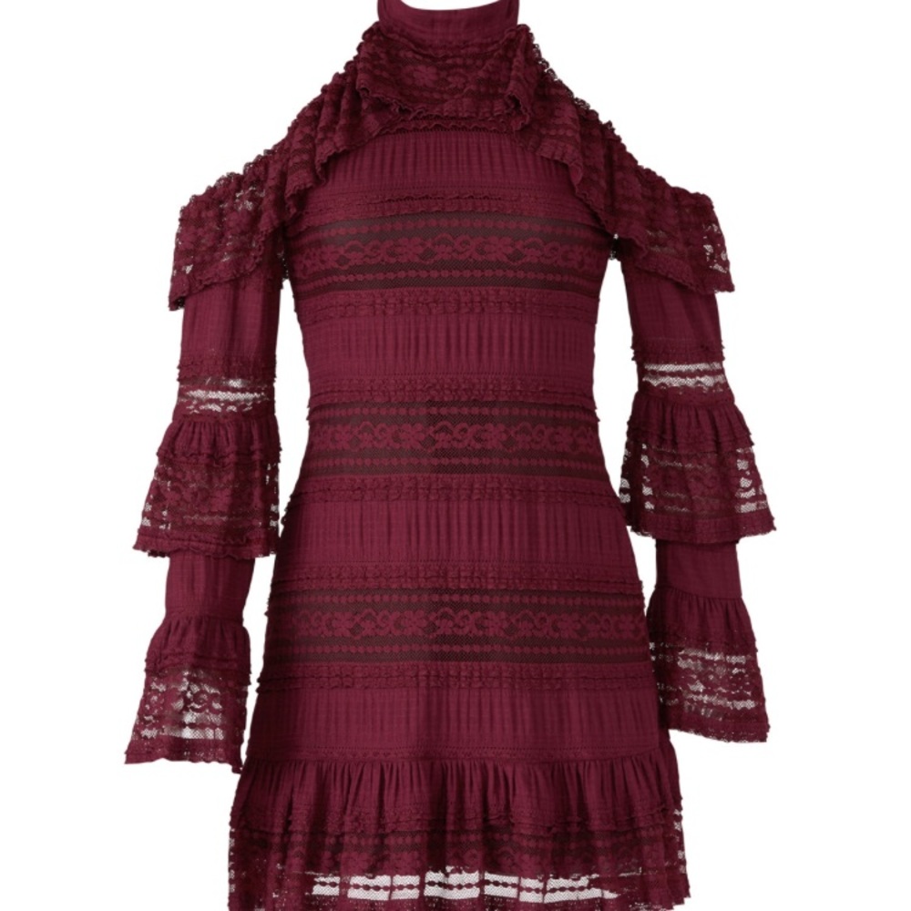 Brand New Parker Ruffle Dress xs